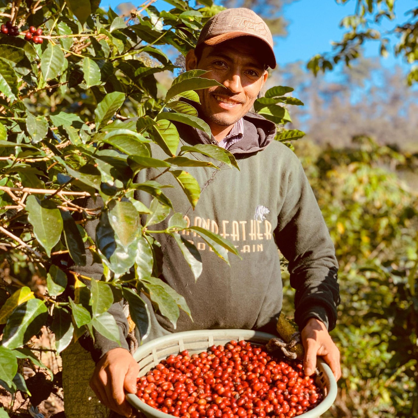 BRAZIL - MANTIQUEIRA DE MINAS - FAZENDA ENGENHO