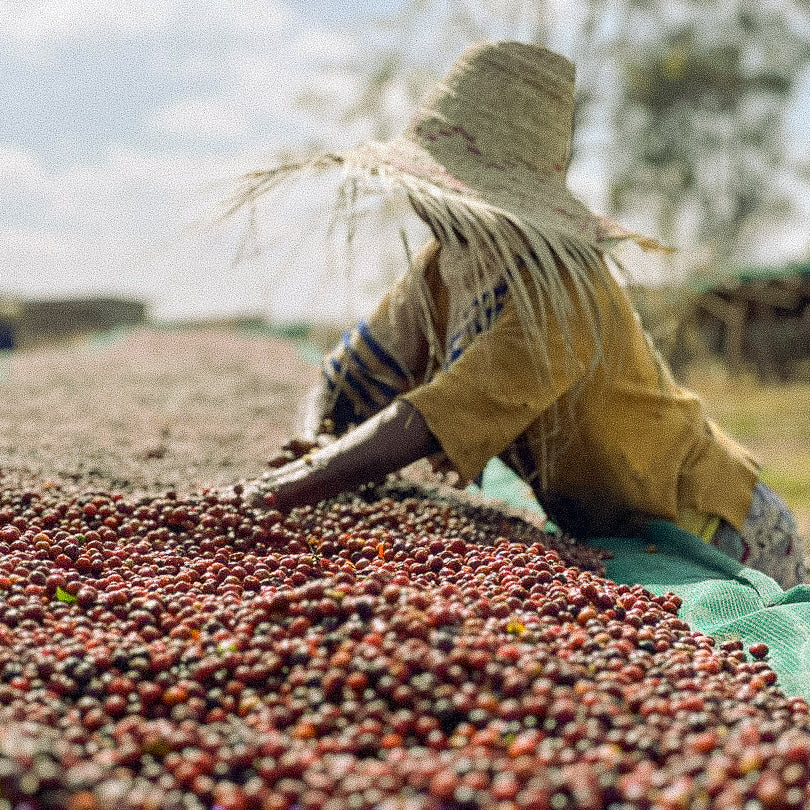 ETHIOPIE · TOME